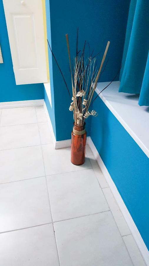 Donhead New Kingston Apt 5 المظهر الخارجي الصورة